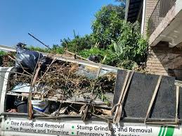 Shed Removal in Byron, IL